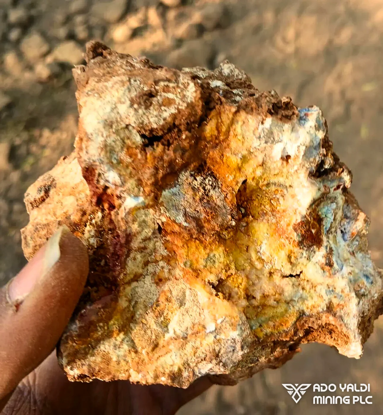 Gold-bearing quartz-carbonate vein sample, Yaldi Greenstone Belt